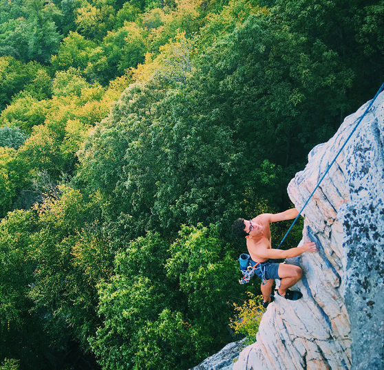Dees climbing